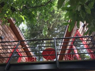 Almabosque Cabañas - 1