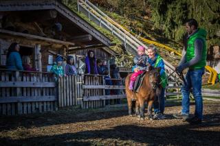 Alpin Family Resort Seetal - Kaltenbach - 5