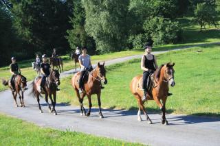 Sportpension Ramlhof - Kollerschlag - 3