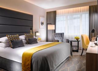 Mespil Hotel - Dublin - 1