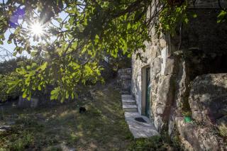 House Gordana - 4