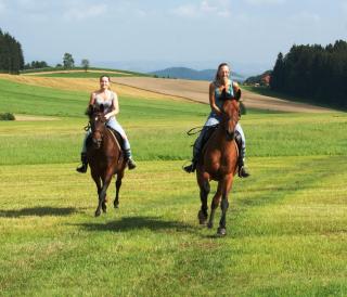 Sportpension Ramlhof - 9