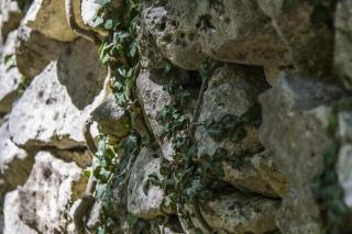 Country House Case Catalano - Abbateggio - 2