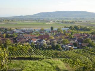Weingut und Gästehaus Berger - Gedersdorf - 2