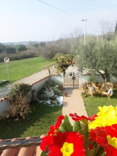 Casa Ani - Umag - 7