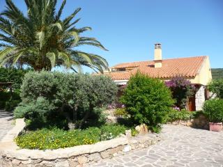 Villa Fiore - San Pantaleo - 9
