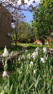 Zora Camping - Bungalows - 5