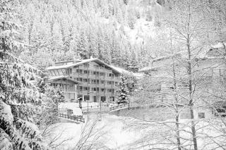 ArtHotel Anterleghes - Gardenahotels - Sëlva - 9