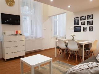 Renaissance Studio Apartment - Budapest - 8