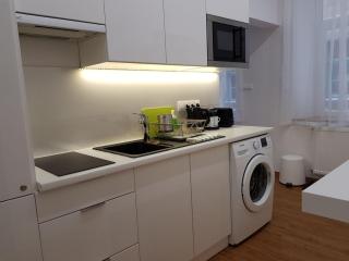 Renaissance Studio Apartment - Budapest - 2