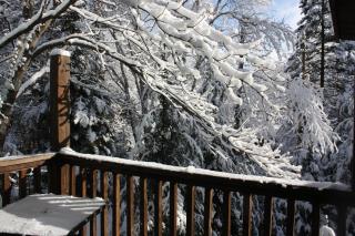 Chalets et Studios Le Vent Du Nord - 1