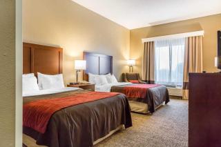 Comfort Inn Frederick - Ballenger Creek - Frederick - 7