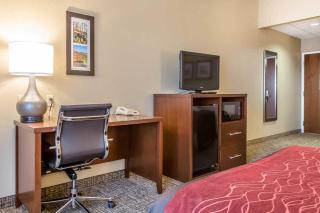 Comfort Inn Frederick - Ballenger Creek - Frederick - 3