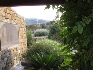 Dammuso Nettuno - Pantelleria - 4