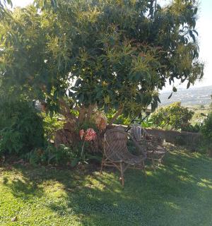 La Sabana - 3