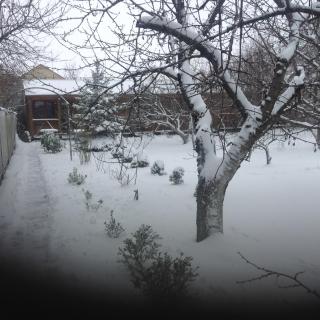 Sea Side House - Chornomorsk - 8
