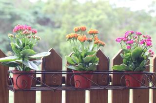 Shanhai B&B - Jian - 5