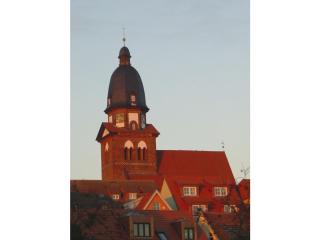 Villa am Weinberg Waren Müritz - Waren - 4