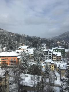Sinaia view - Sinaia - 9