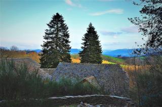 Domaine des Marequiers chambre Silène - Saint-Germain-du-Teil - 0