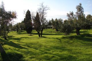 Villa Heleni - Vouliagmeni Lake - 1