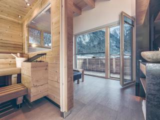 SonnenNEST mit SAUNA - Mayrhofen - 4