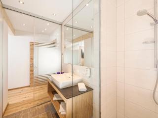 SonnenNEST mit SAUNA - Mayrhofen - 3