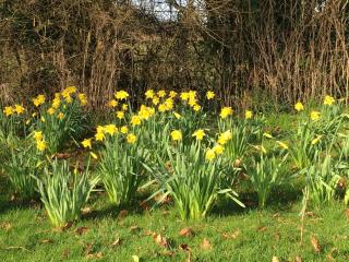 Wood Farm Kerdiston - Reepham - 9