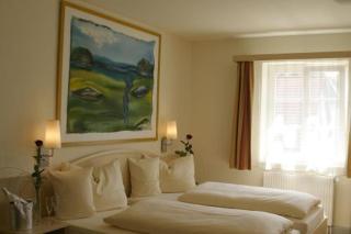Hotel Gasthof zum Ochsen - Ehingen - 6