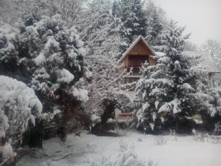 Pensiunea Paradis - Borobăneşti - 7
