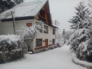 Pensiunea Paradis - Borobăneşti - 4