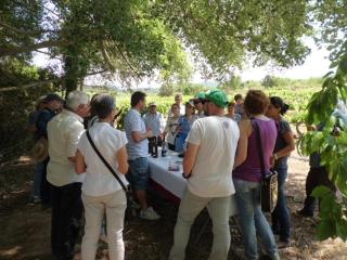 Ca la Viola - Marçà - 5