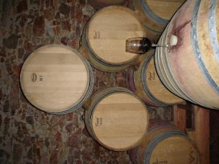 Ca la Viola - Marçà - 6