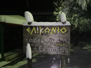 Elikonio - Agia Anna - 8