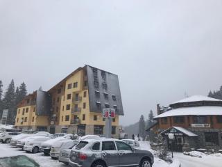 Apartment Love - Vlasic - 7