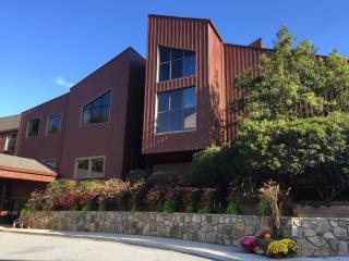 Unicoi State Park & Lodge - Helen - 4