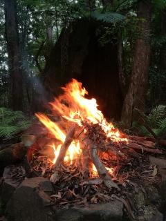 Springbrook Storybook - Springbrook - 1