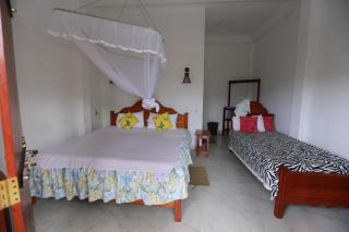 Ella Cloud Castle Homestay - Ella - 1