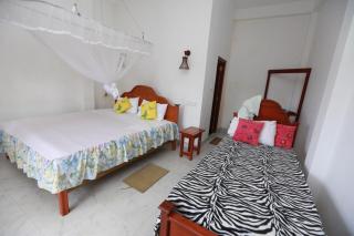 Ella Cloud Castle Homestay - Ella - 2