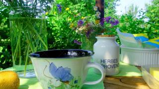 JANISCHs Fewo im Spreewald, Terrasse, großer Garten und Blick inklusive - Unterspreewald - 4