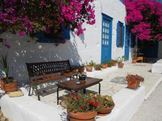 Syros-Home in nature - Mánna - 8