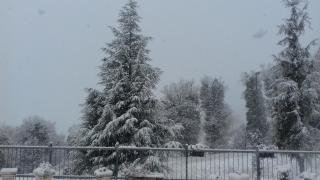 Appartamento Montefumaiolo - Balze - 7