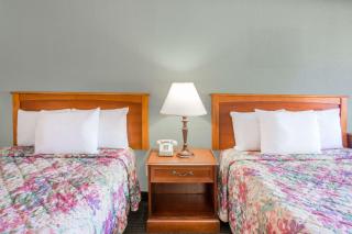Knights Inn - Plant City - Plant City - 1