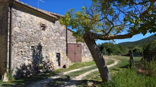 Il Borgo Del Lupo - Sarteano - 6