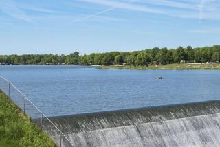 Super 8 by Wyndham Taylorville IL - 7