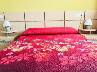 Apartamentos Boutique Valparaiso - Oropesa del Mar - 8