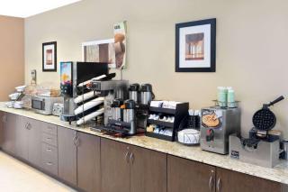 Microtel Inn & Suites by Wyndham Ozark - Ozark - 5