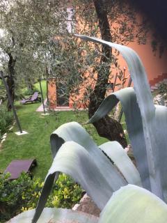 Tonini Apartments - Malcesine - 2