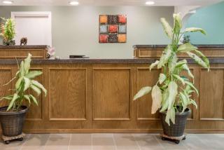 Knights Inn - Slaton - Slaton - 5