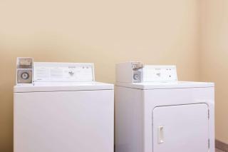 Super 8 by Wyndham Rainsville - 3